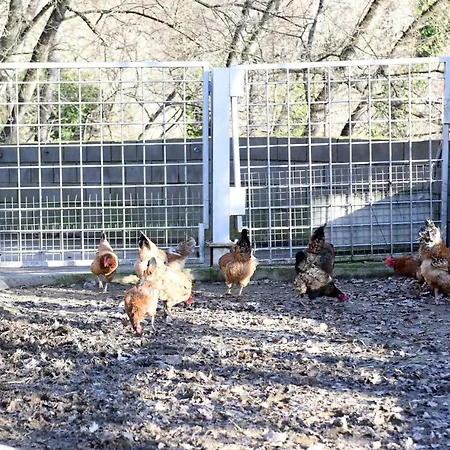 Country house Turisme Rural Mas Isoles