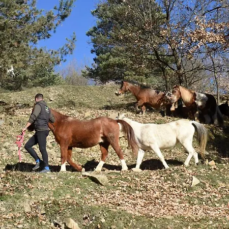 Turisme Rural Mas Isoles Ripoll