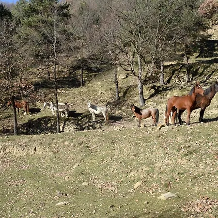 Turisme Rural Mas Isoles Country house *